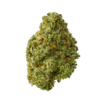 Nick's E85 Indoor Cannabis