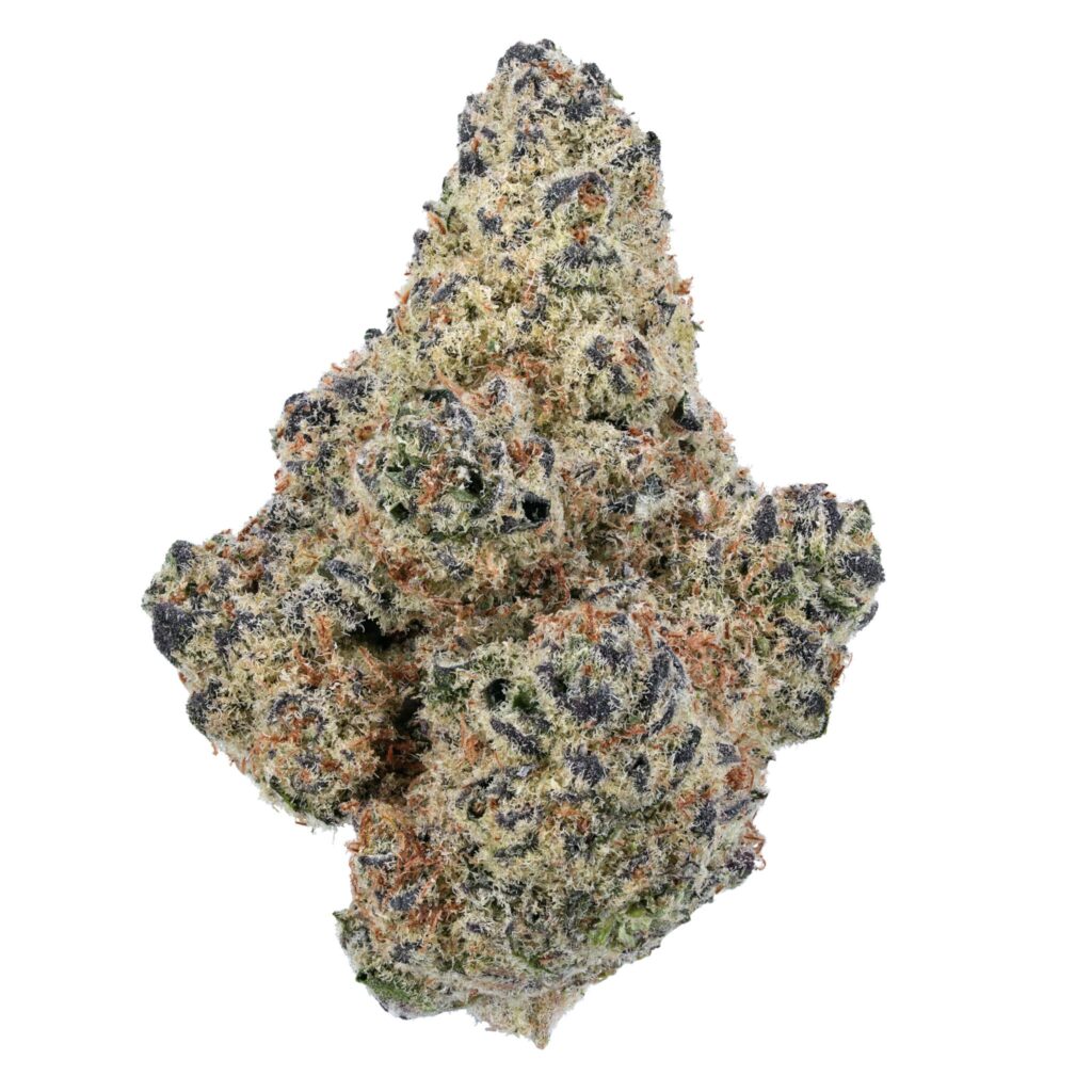 Glenn's Purple Fuji Indoor Cannabis