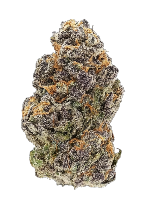 KC's Whipped Runtz Indoor Cannabis