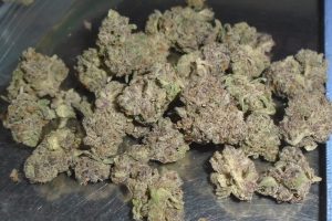 Biscotti Indoor Cannabis flower from Redding 420