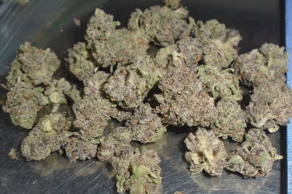 Biscotti Indoor Cannabis flower from Redding 420