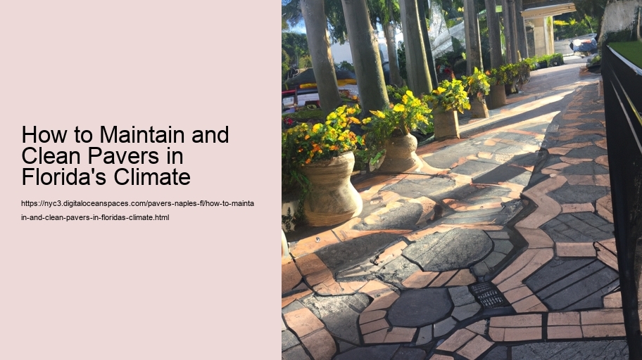 How to Maintain and Clean Pavers in Florida's Climate  