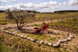 2023 vineyard stones antique equipment - Cote Mas