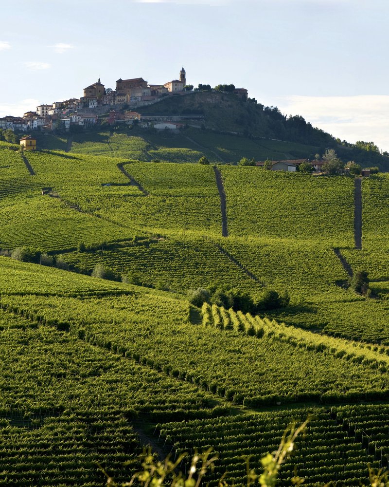 Brunate vineyard - Batasiolo