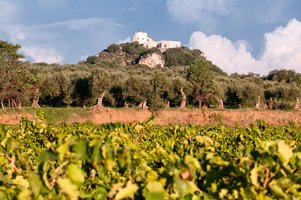 Capo Milazzo winery - Planeta