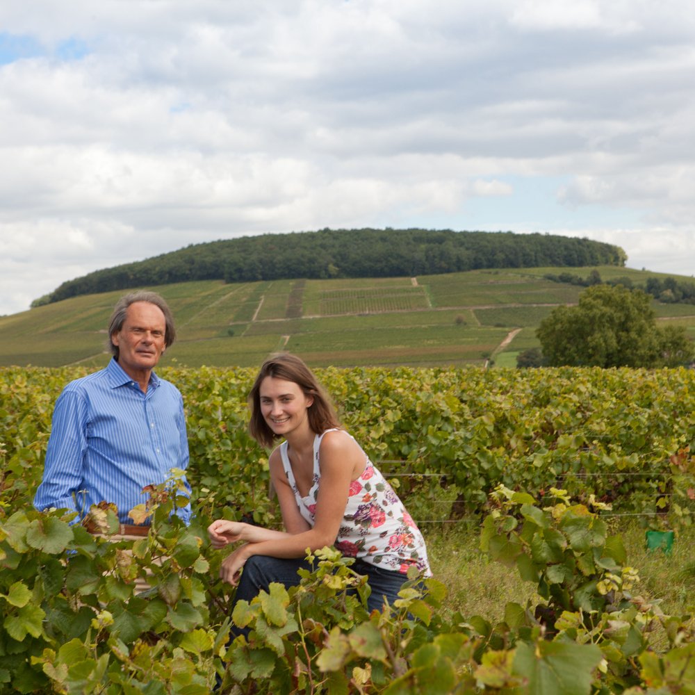 Dominique and Hombeline Guyon Corton vineyard - Domaine Antonin Guyon