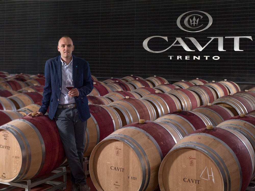 Fabrizio Marinconz standing barrels - Cavit