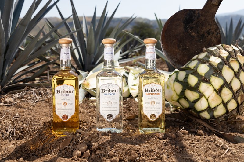 Family of tequilas in agave field - Tequila Bribon