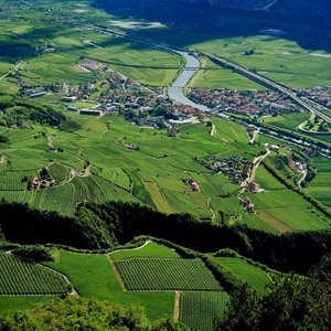 Valle dell Adige - Bottega Vinaia