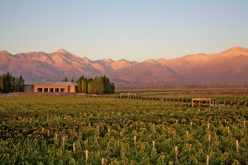 Salentein Winery Uco Valley - Salentein