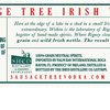 Drumshanbo Sausage Tree Irish Vodka Back Label