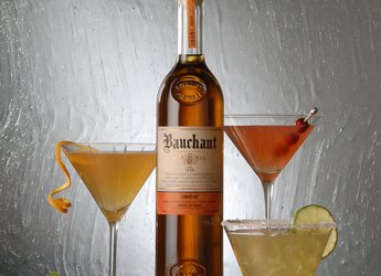 Bauchant with cocktails