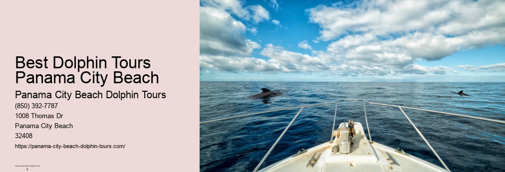 Dolphin Tours In Panama City Beach Florida