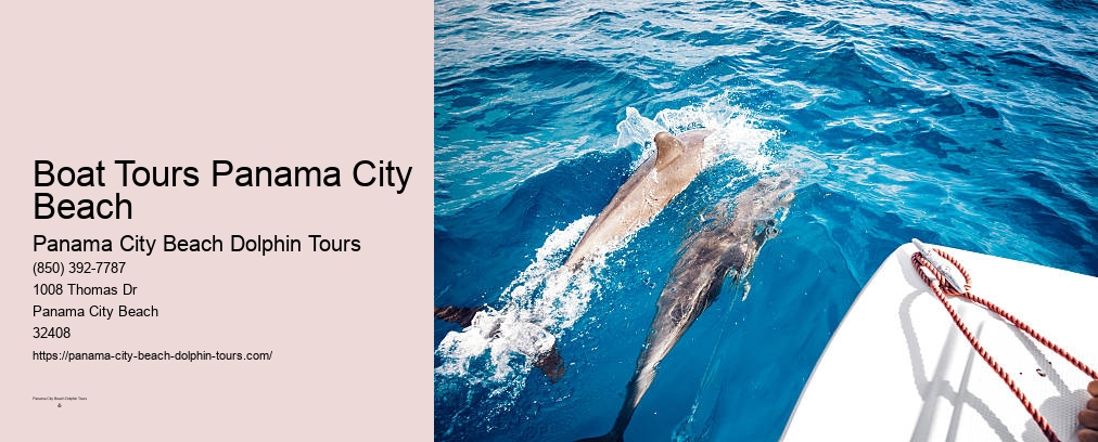Panama City Beach Dolphin Tours
