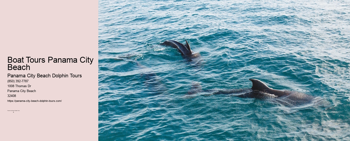 Dolphin & Snorkeling Tours Panama City Beach