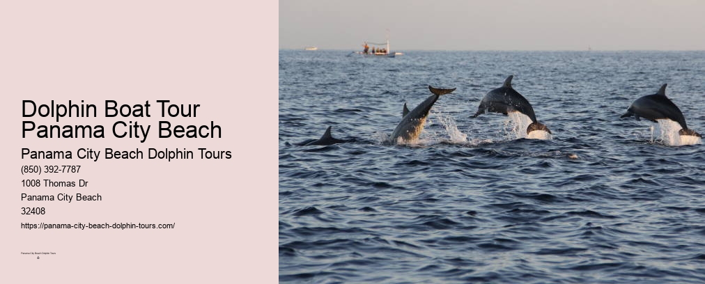 Shell Island Dolphin Cruise Panama City Beach