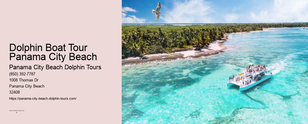 Panama City Beach Dolphin And Snorkel Tours