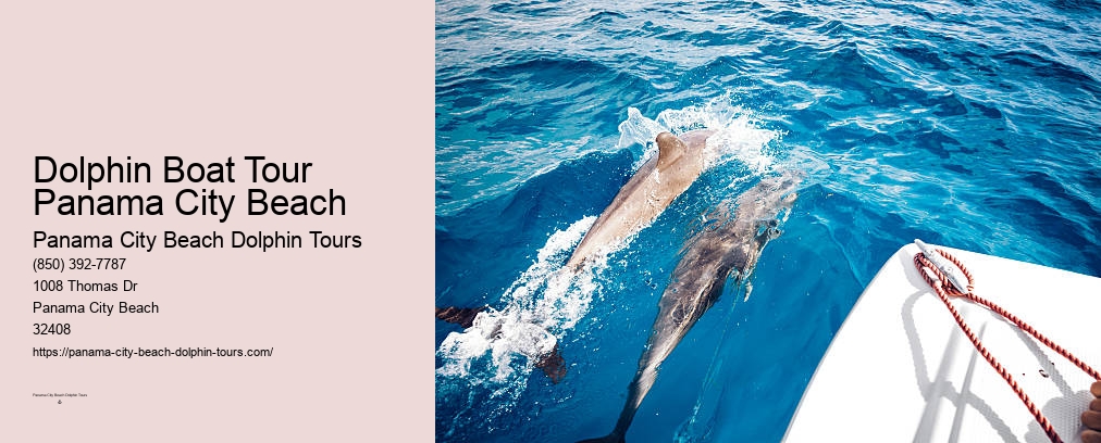 Panama City Beach Boat Tours