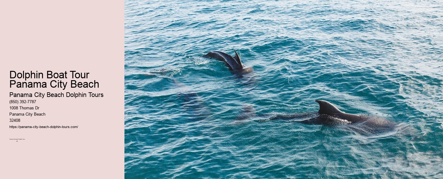 Panama City Beach Dolphin And Snorkel Tours