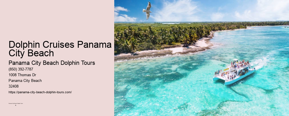 Panama City Beach Private Dolphin Tours