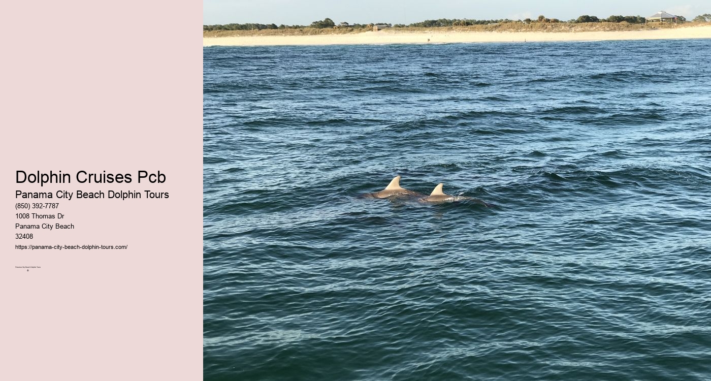 Panama City Beach Florida Dolphin Tours