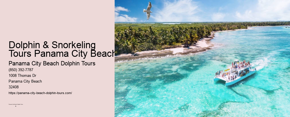 Panama City Beach Dolphin And Snorkeling Tours