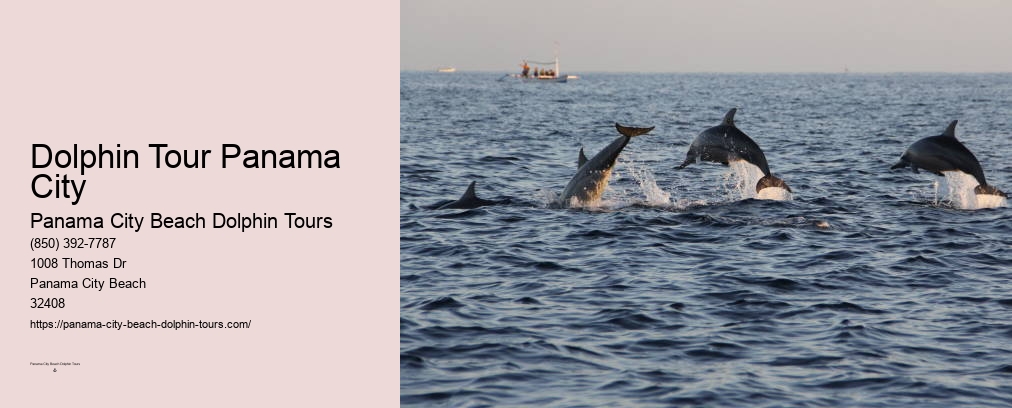 Sunset Dolphin Cruise Panama City Beach