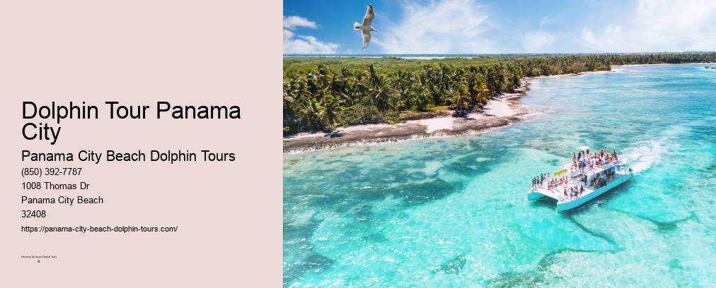 Dolphin And Snorkeling Tours Panama City Beach