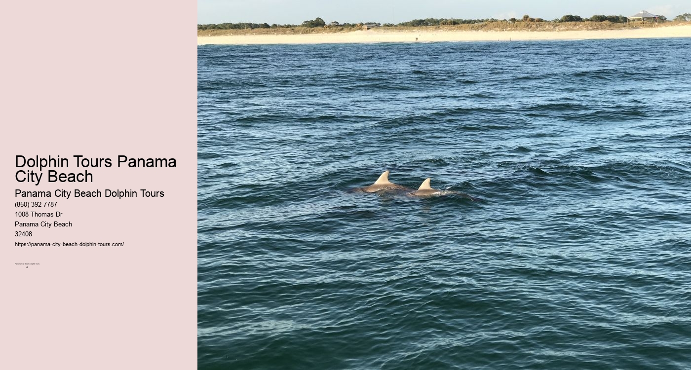 Dolphin Boat Tour Panama City Beach