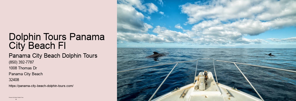 Dolphin Tour Panama City Beach