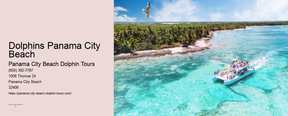 Panama City Beach Private Dolphin Tours