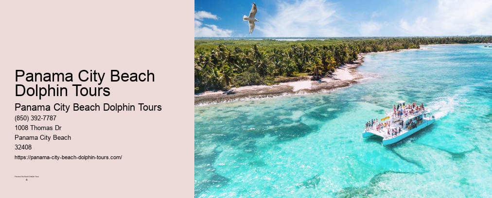 Shell Island Panama City Fl