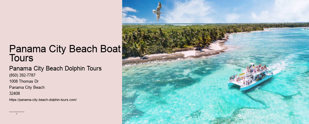 Dolphin Tour Panama City