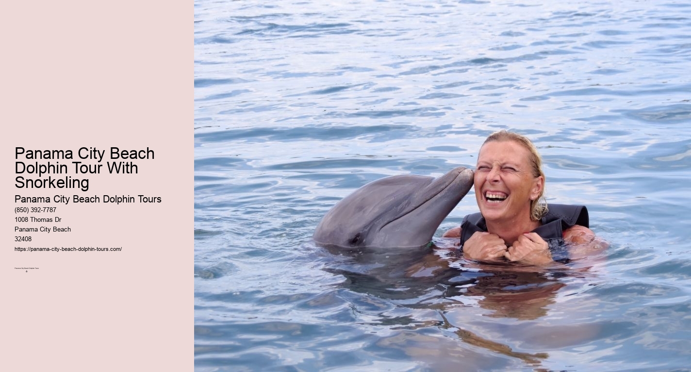 Panama City Beach Dolphin Tour With Snorkeling