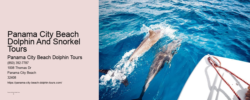 Dolphin Jet Ski Tour Panama City Beach