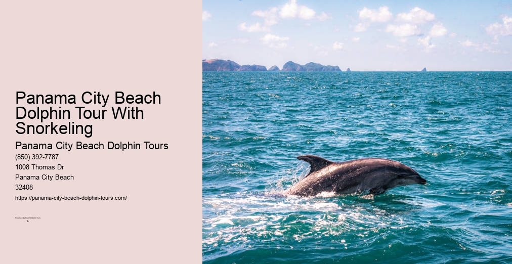 Dolphins Panama City Beach