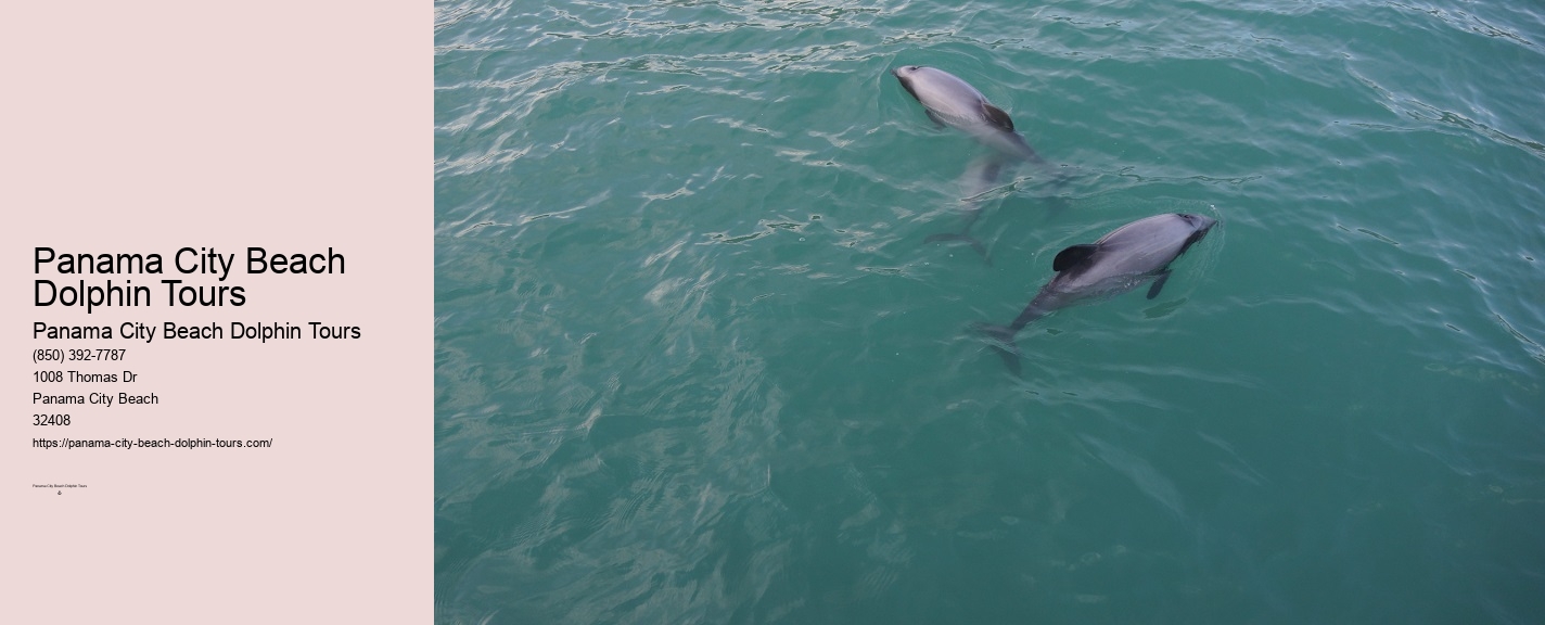 Shell Island Panama City Fl