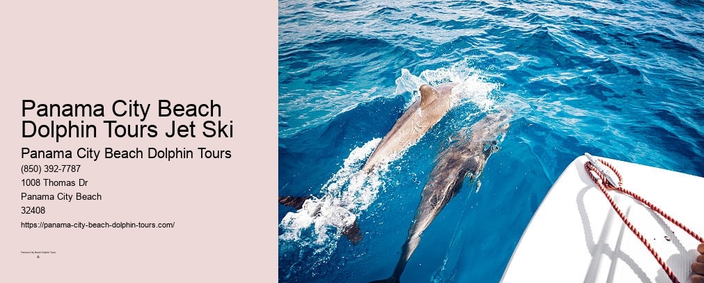 Panama City Beach Florida Dolphin Tours