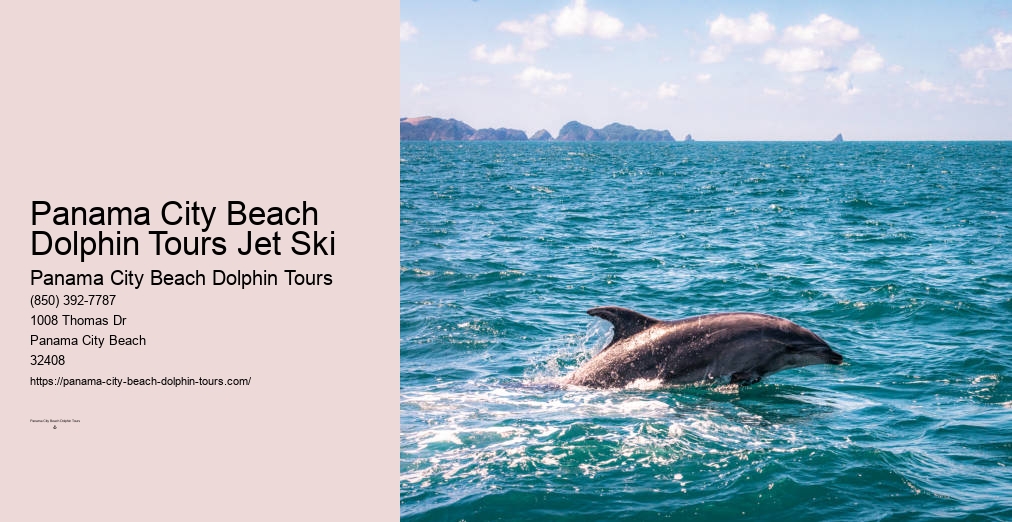 Dolphin And Snorkeling Tours Panama City Beach