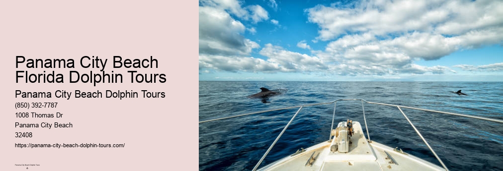 Panama City Beach Dolphin Tour With Snorkeling