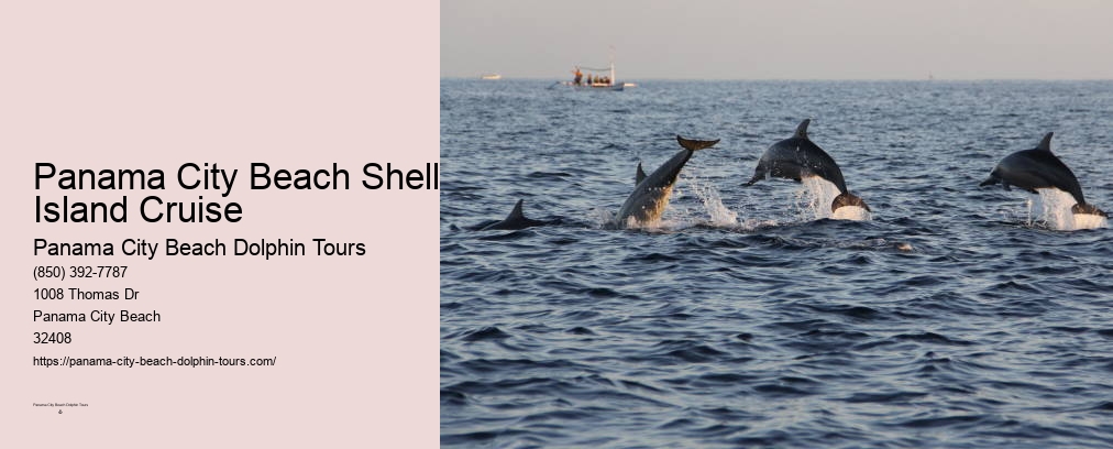 Swimming With Dolphins Panama City Beach