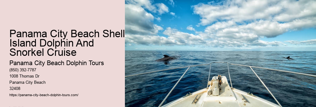 Panama City Beach Dolphins