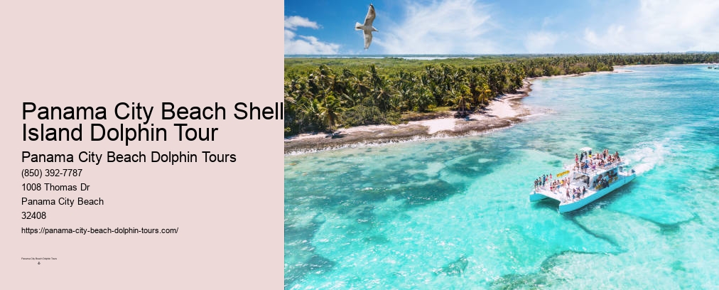 Dolphin Tours In Panama City Beach Florida