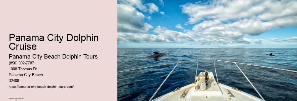 Shell Island Panama City Beach Map