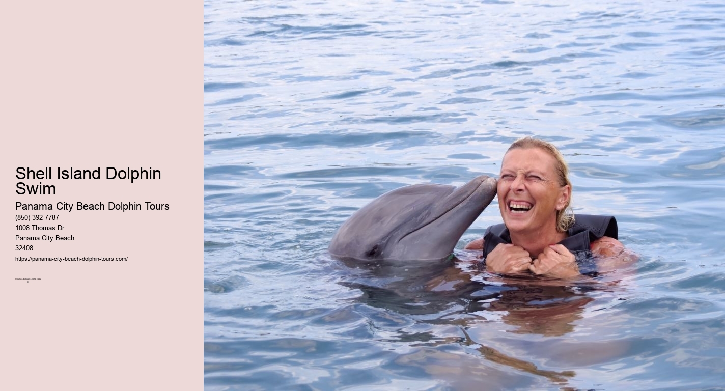 Shell Island Dolphin Swim