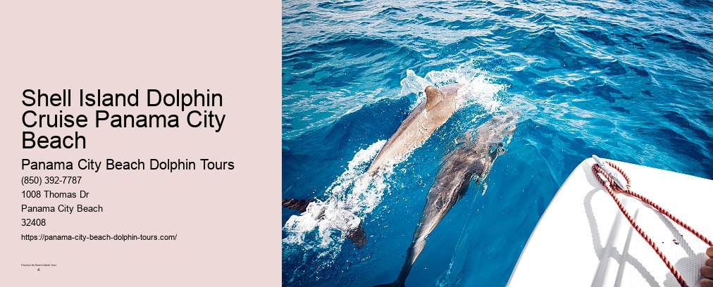 Panama City Beach Boat Tours