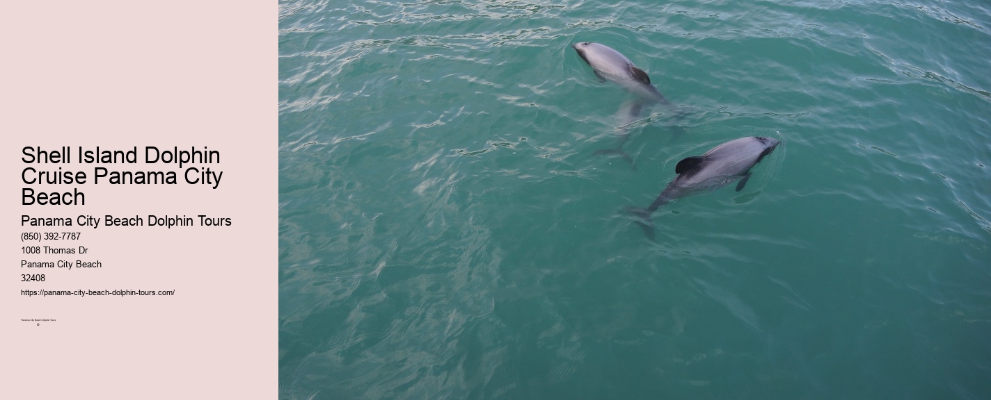 Swim With Dolphins Cruise