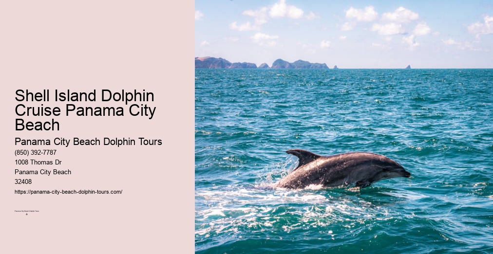 Panama City Beach Dolphin Tours & More