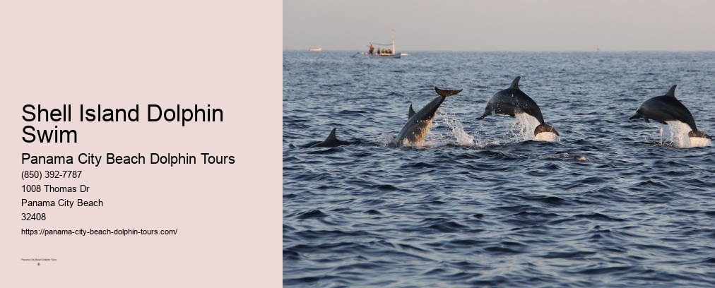 Dolphin Boat Tours Panama City Beach Fl