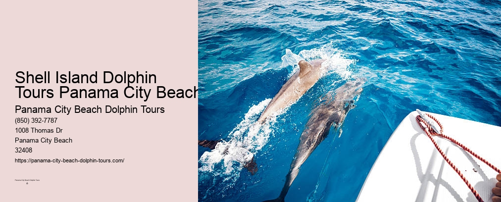 Dolphin And Snorkeling Tours Panama City Beach